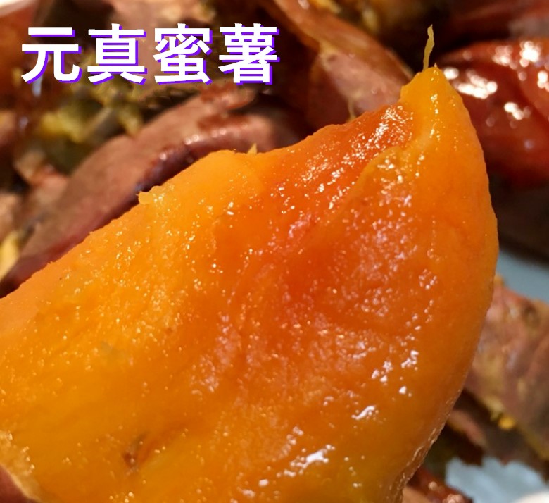 元真蜜薯 (3)_副本.jpg