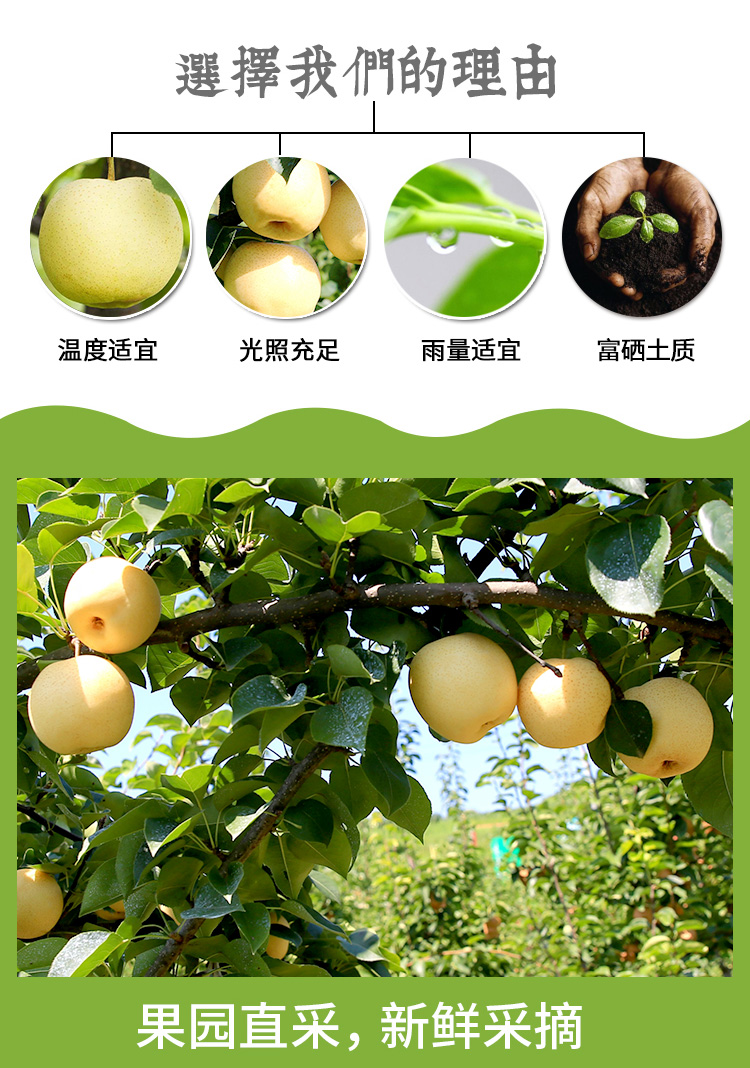 微信图片_20191126151345.jpg