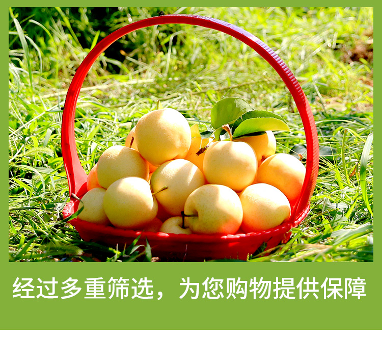 微信图片_20191126151356.jpg