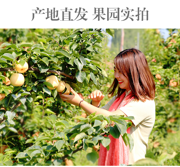 微信图片_20191126151429.jpg