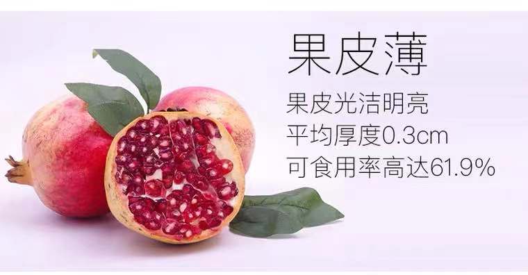 微信图片_20191127174351.jpg
