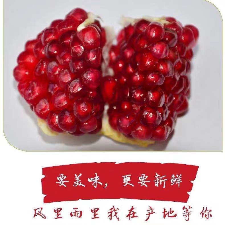 微信图片_20191127171049.jpg