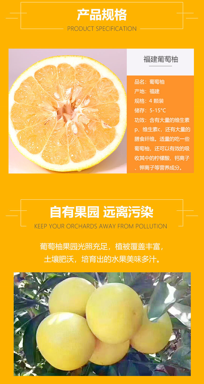5_副本.jpg